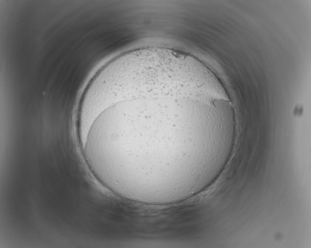 X0000116340912201001131042