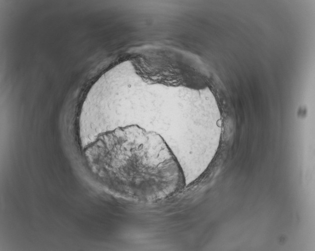 X0000116340913201001131042