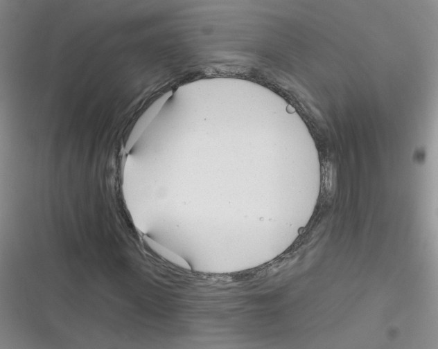 X0000116340915201001131042