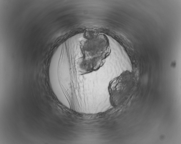 X0000116340917201001131042