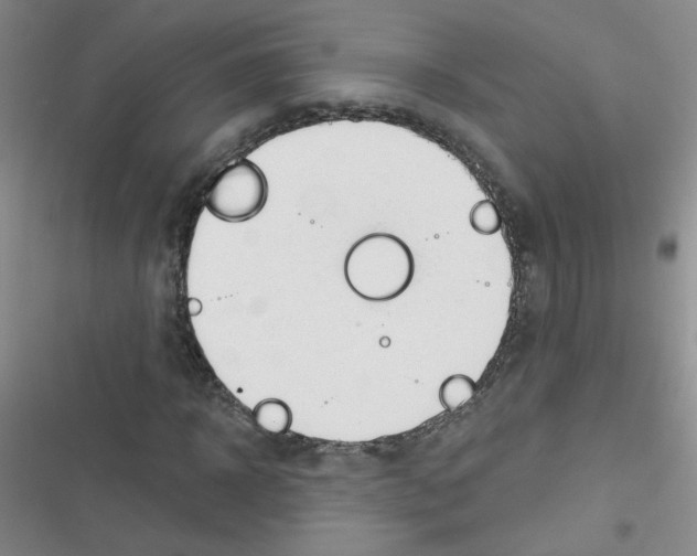 X0000116340918201001131042