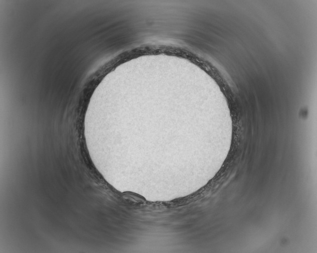 X0000116340919201001131042