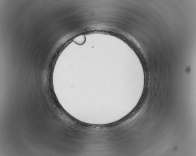 X0000116340922201001131042