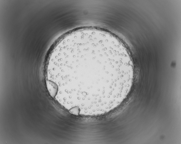 X0000116340927201001131042