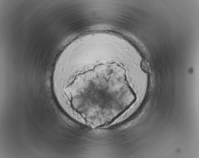 X0000116340929201001131042