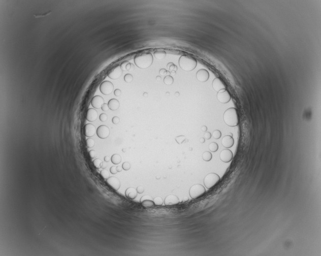 X0000116340931201001131042