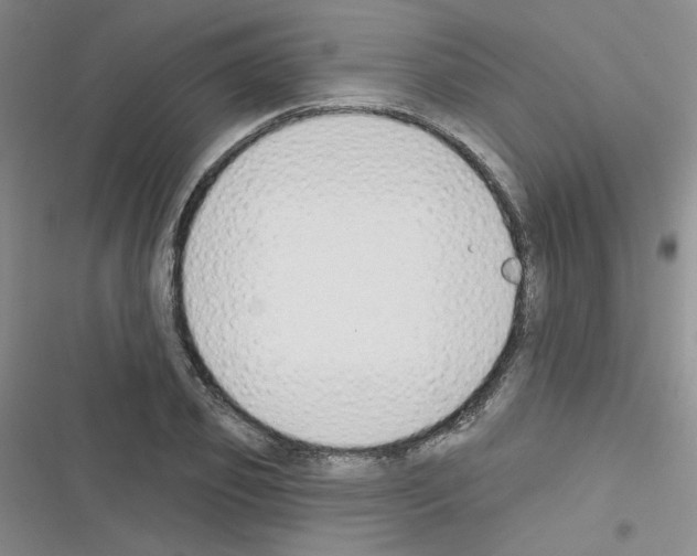 X0000116340933201001131042