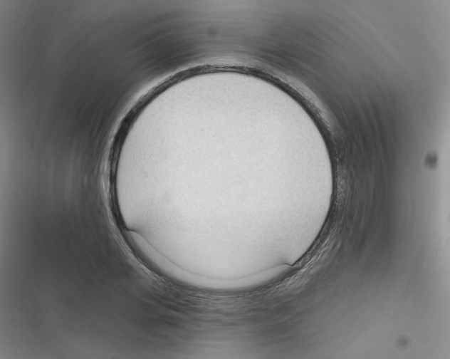 X0000116340935201001131042