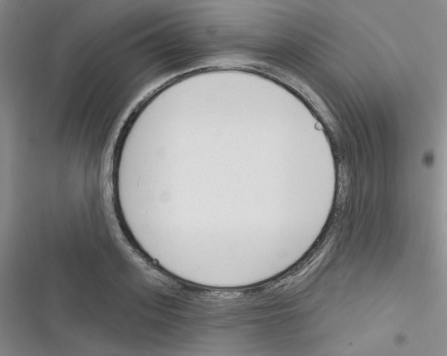 X0000116340939201001131042