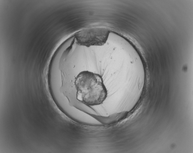 X0000116340941201001131042