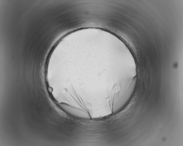 X0000116340942201001131042