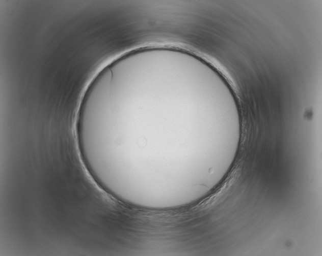 X0000116340943201001131042