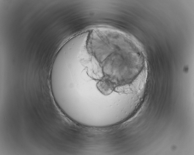 X0000116340945201001131042