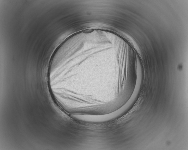 X0000116340946201001131042