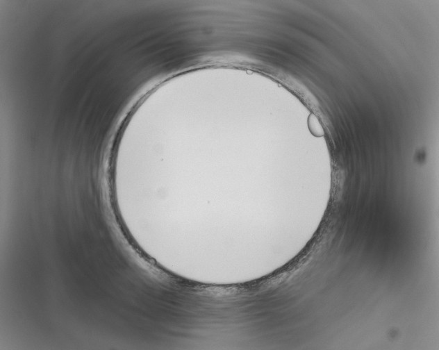 X0000116340947201001131042