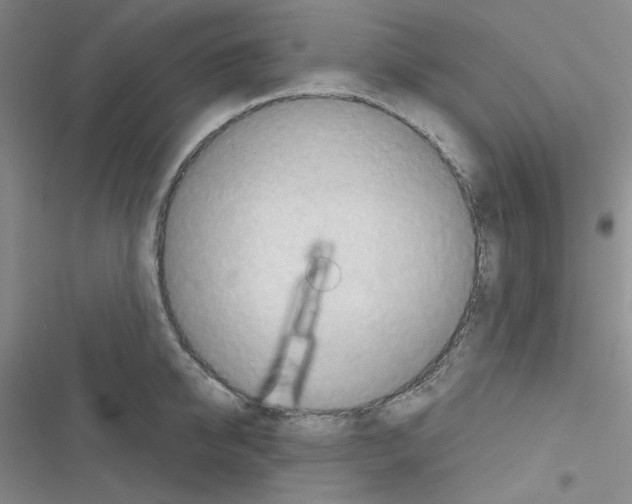 X0000116340950201001131042