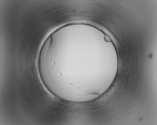 X0000116340951201001131042