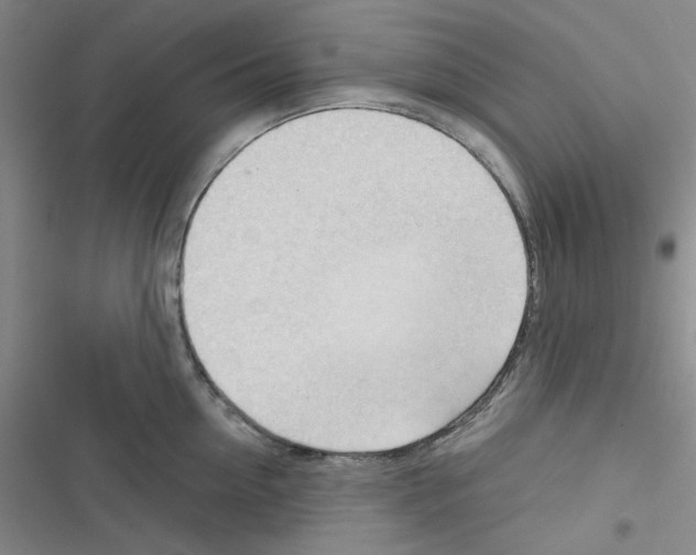 X0000116340954201001131042