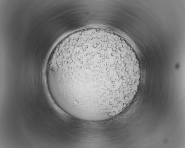 X0000116340955201001131042