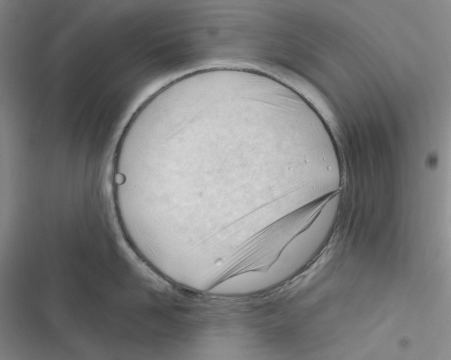 X0000116340958201001131042