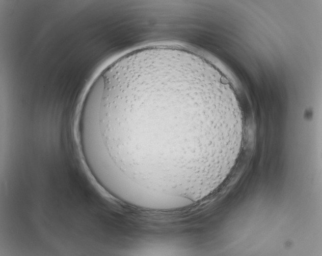 X0000116340959201001131042