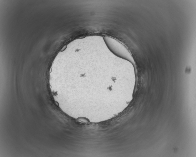 X0000116340961201001131042