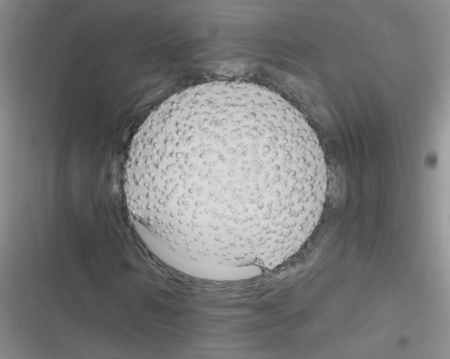 X0000116340962201001131042