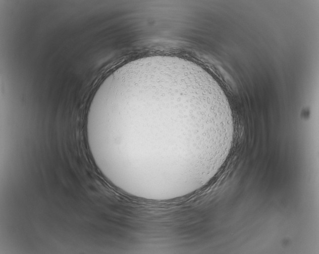 X0000116340964201001131042