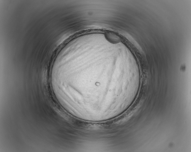 X0000116340969201001131042