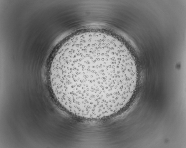 X0000116340970201001131042