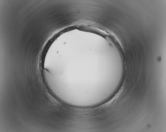 X0000116340973201001131042