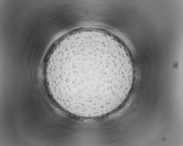 X0000116340974201001131042