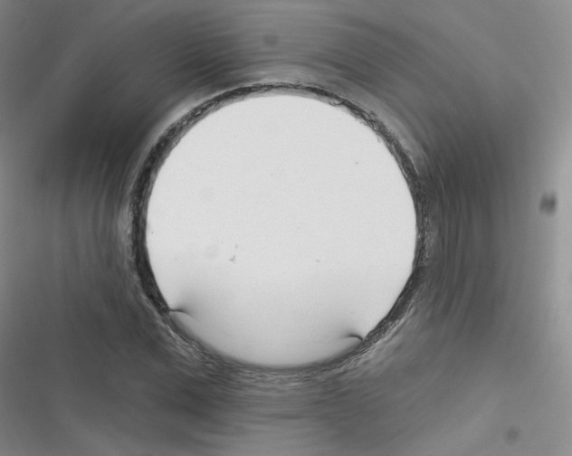 X0000116340975201001131042