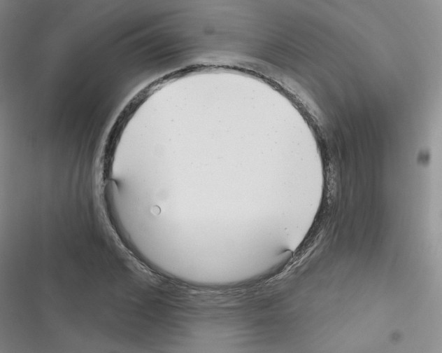 X0000116340976201001131042