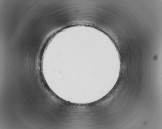 X0000116340979201001131042