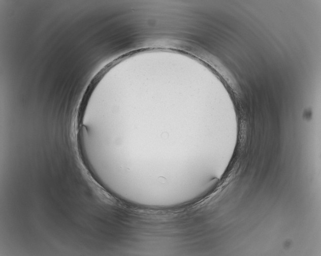 X0000116340980201001131042