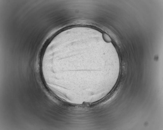 X0000116340981201001131042