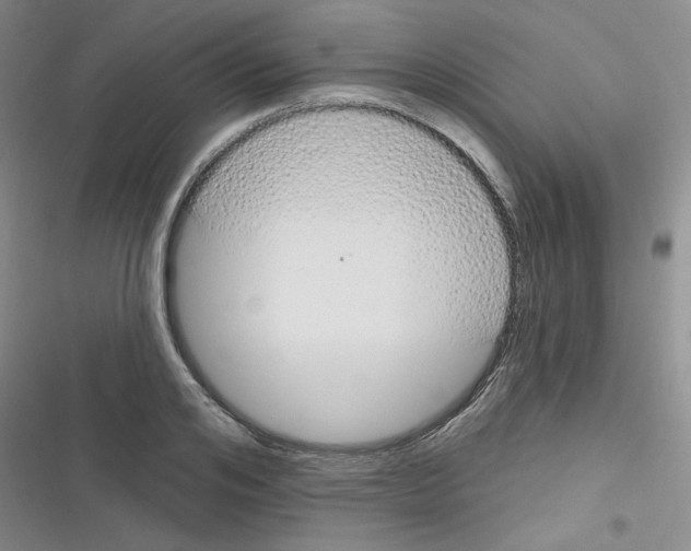 X0000116340984201001131041