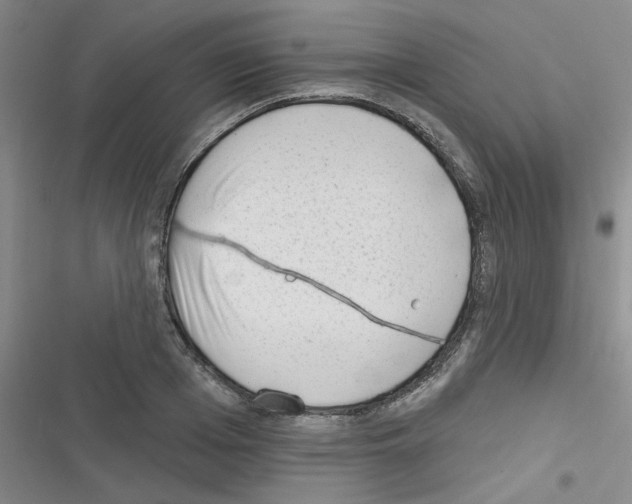 X0000116340985201001131041