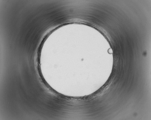 X0000116340987201001131041