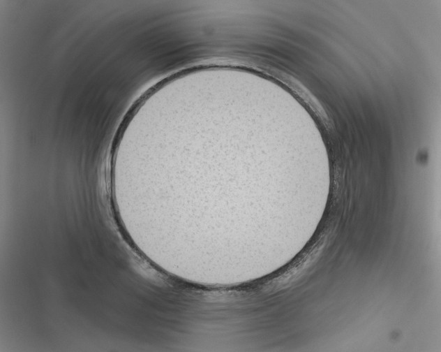 X0000116340988201001131041