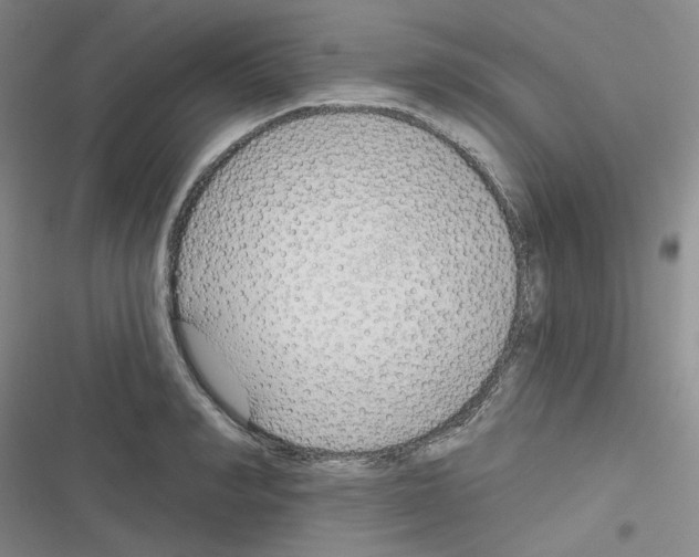 X0000116340990201001131041