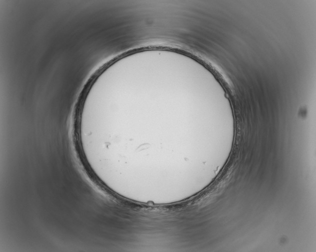 X0000116340991201001131041