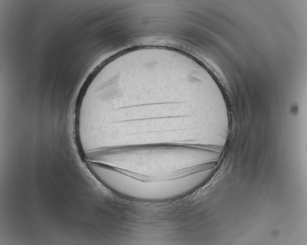 X0000116340992201001131041