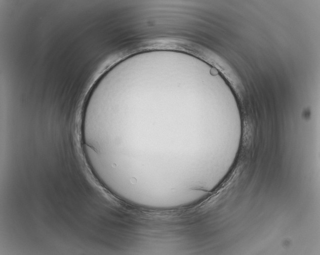 X0000116340994201001131041