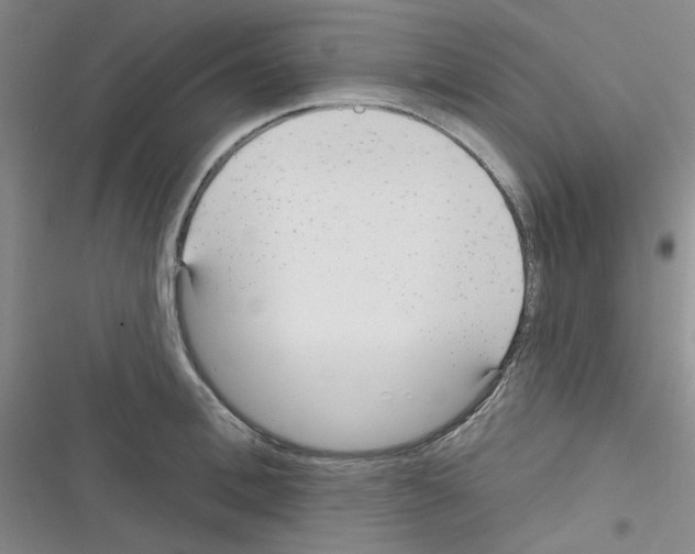 X0000116340996201001131041