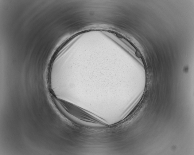 X0000116340997201001131041