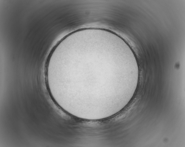 X0000116340998201001131041