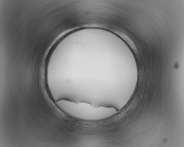 X0000116341000201001131041