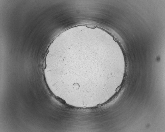 X0000116341001201001131041